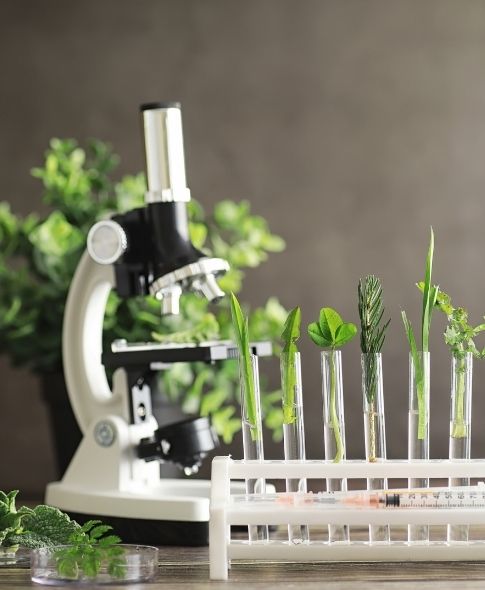 Botanical ingredients